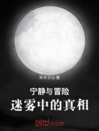 寧靜與冒險：迷霧中的真相在線閱讀