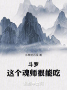 斗罗：这个魂师很能吃在线阅读