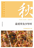 “我的青春我的梦”全国中学生校园美文精品集萃丛书:最爱辜负少年时在线阅读