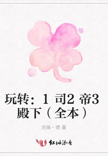 玩轉(zhuǎn):1司2帝3殿下(全本)