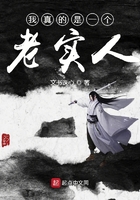 我真的是一個老實人在線閱讀