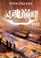 灵魂巅峰在线阅读