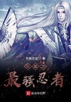 乐高之最强忍者在线阅读