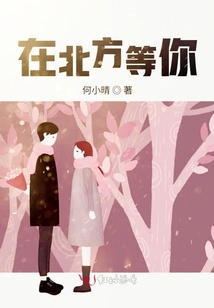 在北方等你
