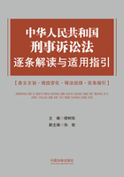 中华人民共和国刑事诉讼法逐条解读与适用指引