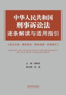 中华人民共和国刑事诉讼法逐条解读与适用指引