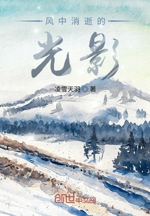 風中消逝的光影
