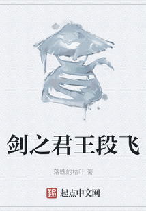 劍之君王段飛