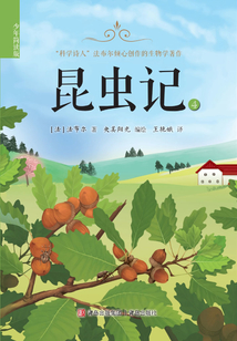 昆蟲記4（少年簡讀版）