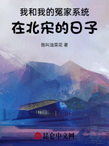 我和我的冤家系統在北宋的日子