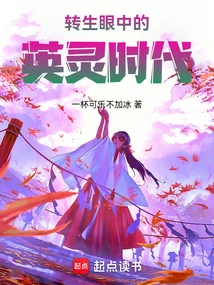 The Age of Heroic Spirits Through the Eyes of Reincarnation