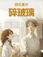 回忆是片碎玻璃在线阅读
