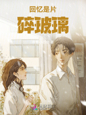 回忆是片碎玻璃在线阅读