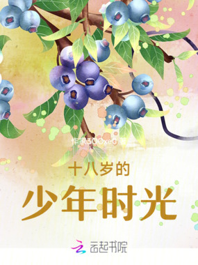 十八岁的少年时光在线阅读