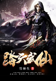 踏天武仙