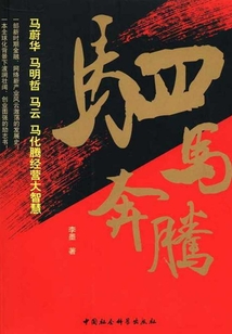 駟馬奔騰:馬蔚華、馬明哲、馬云、馬化騰經營大智慧