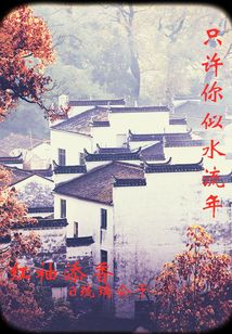 只許你似水流年