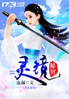 灵镜秘契