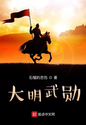 大明武勋在线阅读