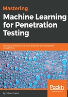 Mastering Machine Learning for Penetration Testing在线阅读