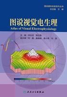 图说视觉电生理