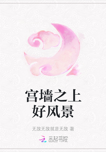 宮墻之上好風(fēng)景