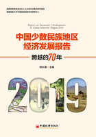 中国少数民族地区经济发展报告（2019）：跨越的70年