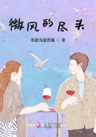 微风的尽头在线阅读