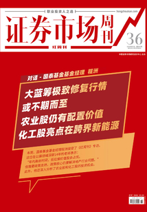 對話：國泰基金基金經理程洲（《證券市場紅周刊》2022年36期）