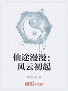 仙途漫漫:风云初起在线阅读