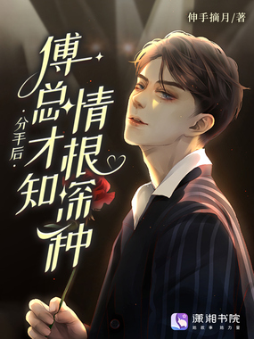 分手后，傅总才知情根深种在线阅读