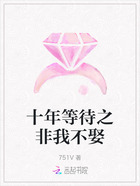 十年等待之非我不娶在线阅读