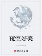 夜空好美在线阅读