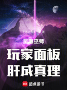 星海巫师:玩家面板,肝成真理在线阅读