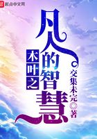 木叶之凡人的智慧