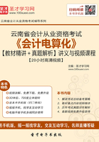 云南省会计从业资格考试《会计电算化》【教材精讲＋真题解析】讲义与视频课程【20小时高清视频】在线阅读