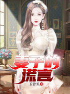 妻子的謊言在線閱讀