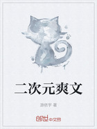 二次元爽文在线阅读