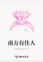 南方有佳人在線閱讀