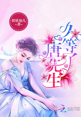 久等了，唐先生！在线阅读