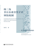 珠三角非公企业劳资矛盾调处机制：基于社会治理创新视角在线阅读