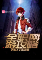 全職網游攻略在線閱讀
