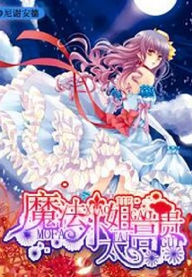 魔法小姐太高貴
