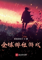 全球排位游戏在线阅读