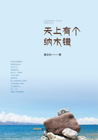 天上有个纳木错在线阅读