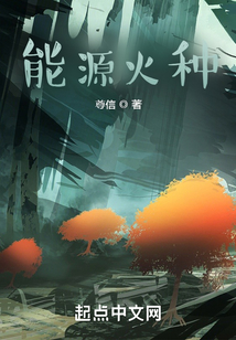 能源火種