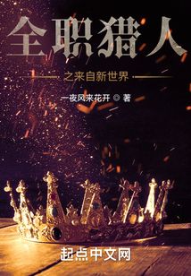 全職獵人之來自新世界