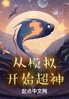 從模擬開(kāi)始超神在線(xiàn)閱讀