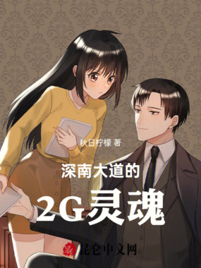 深南大道的2G灵魂在线阅读