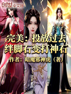 完美：投放过去，绊脚石变打神石在线阅读